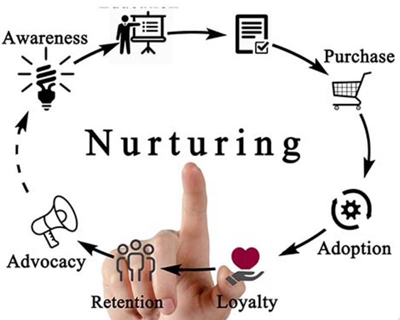 lead-nurturing-process